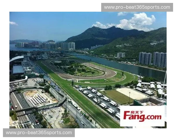 体育直播源地址(资讯向)——把握权威渠道,尽览赛事全景 体育直播源地址(资讯向)——把握权威渠道,尽览赛事全景