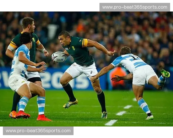 瑞典超直播入口——畅享顶级足球赛事，尽在掌握