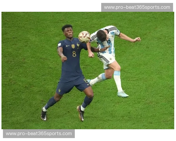 阿根廷队新闻——激情、战术与荣耀的最新故事